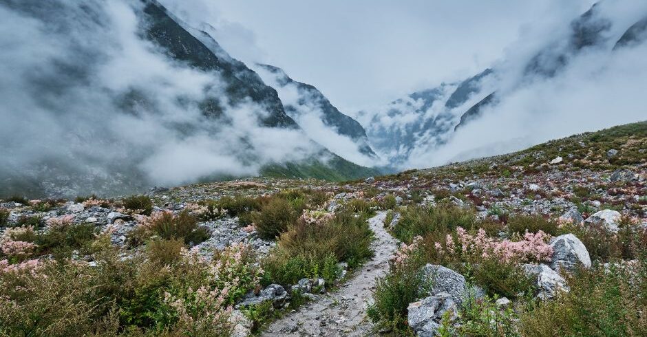 Valley of flower