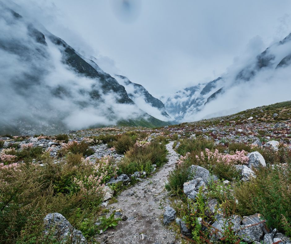 Valley of flower