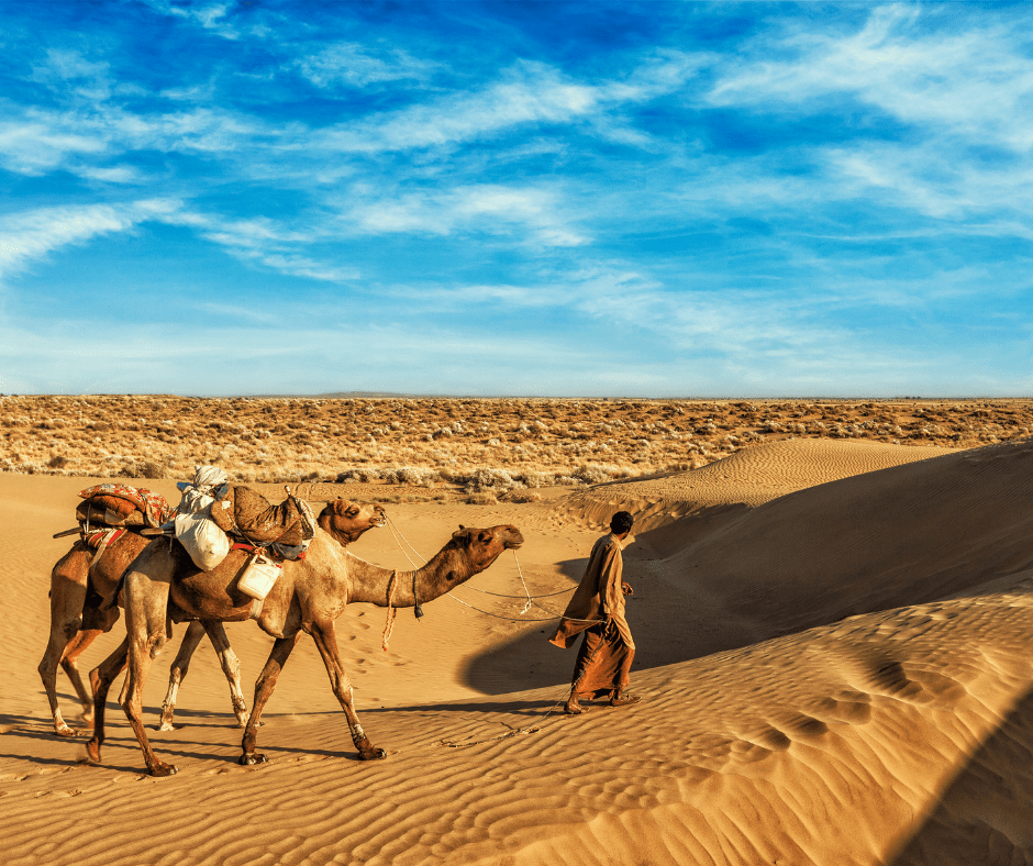 Rajasthan Desert