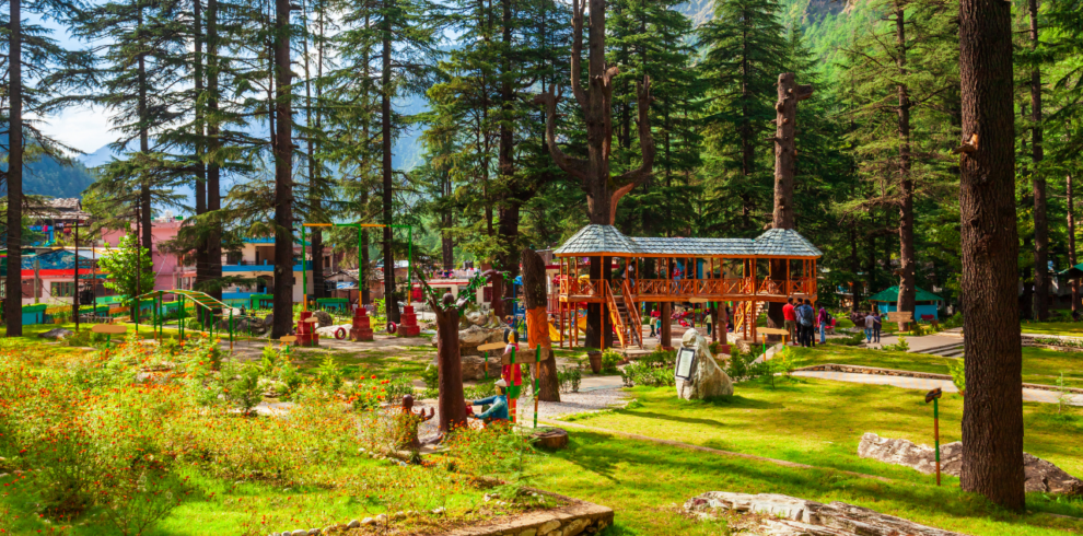 Scenic Himachal Forest