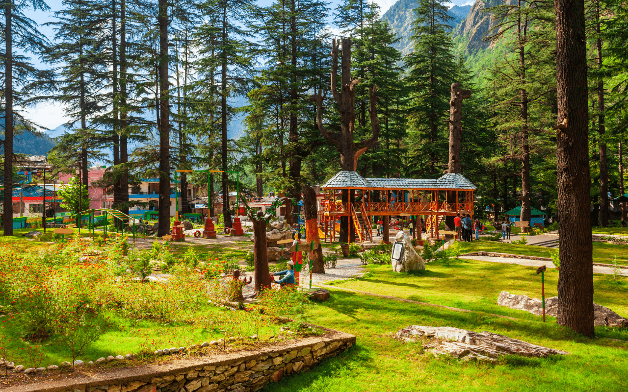 Scenic Himachal Forest