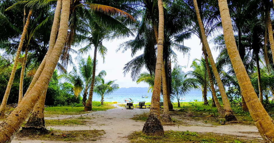 Scenic Andaman Beach