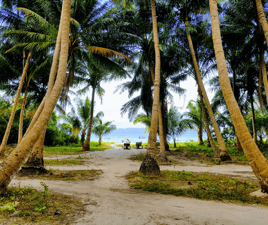 Scenic Andaman Beach