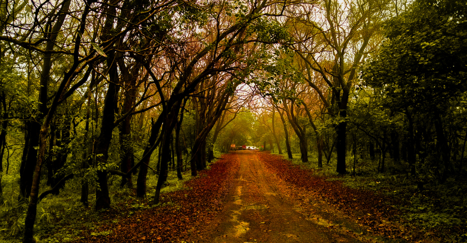 Scenic Pachamarhi