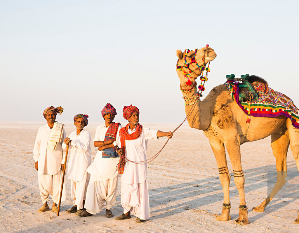 Rann Of Kutch