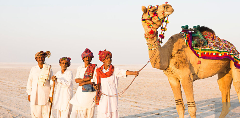 Rann Of Kutch