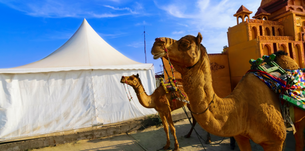 Rann Of Kutch