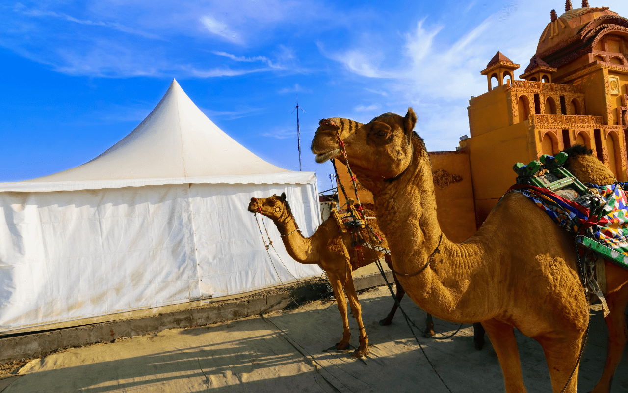 Rann Of Kutch