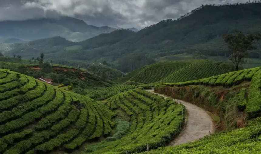 Exploring the Top 10 Hill Stations in Kerala: A Guide to Nature’s Paradise