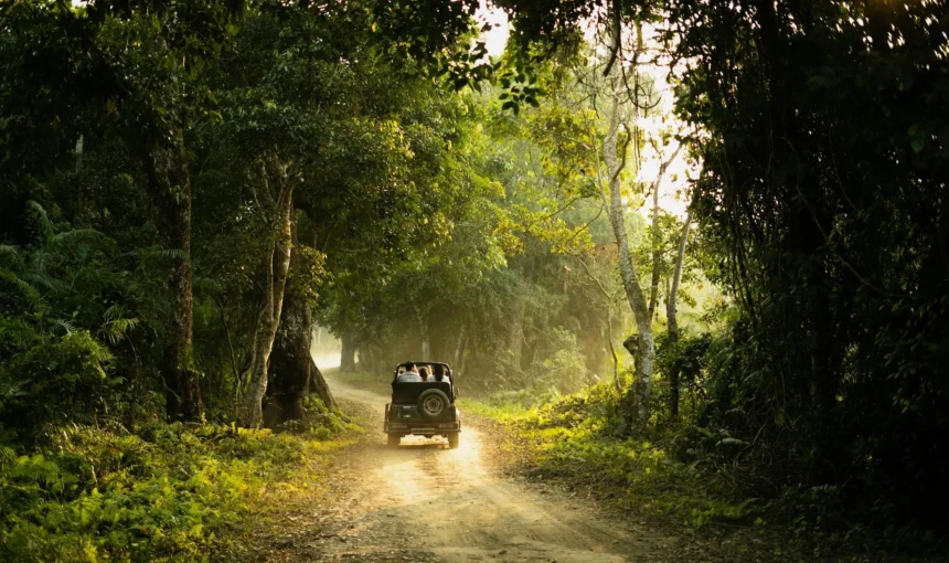 Coorg’s Crown Jewels: Six Sanctuaries for an Unforgettable Staycation