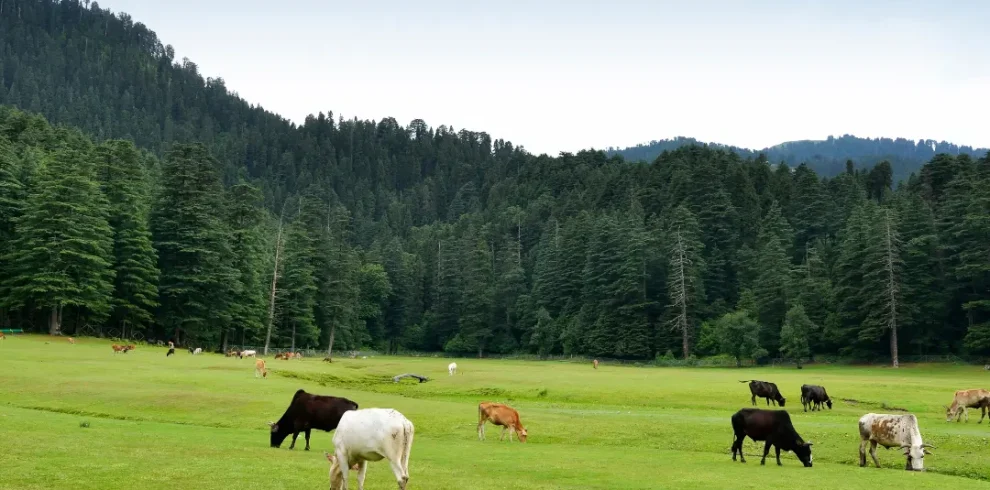 Goparyatak-website-trips-images (40)