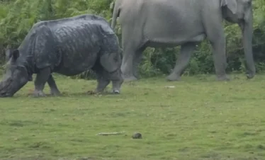 assam meghalaya and arunachal pradesh tour