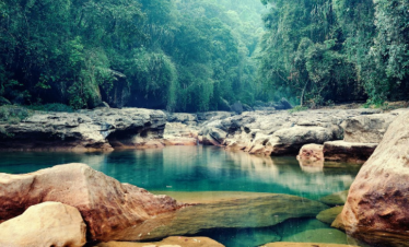 assam meghalaya tour packages