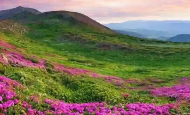 Sikkim tour packages from Bagdogra