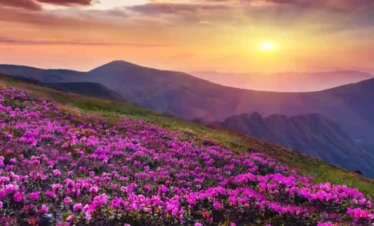 North Sikkim Tour Package