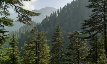 himachal pradesh family tour packages