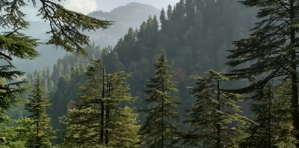 himachal pradesh family tour packages