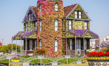 Dubai and Abu Dhabi tour packages from India – luxury UAE travel experience