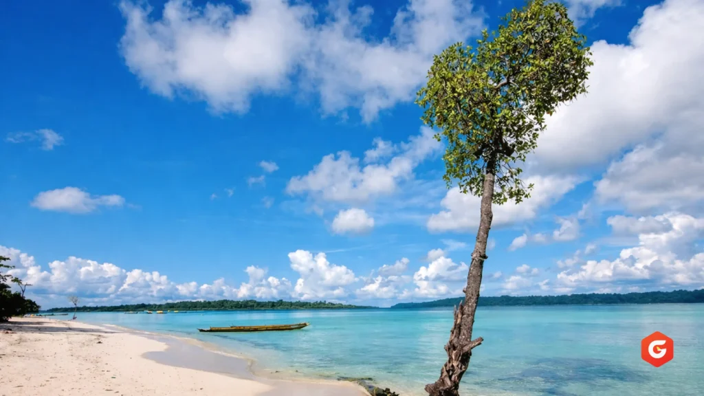 Top Attractions & Activities