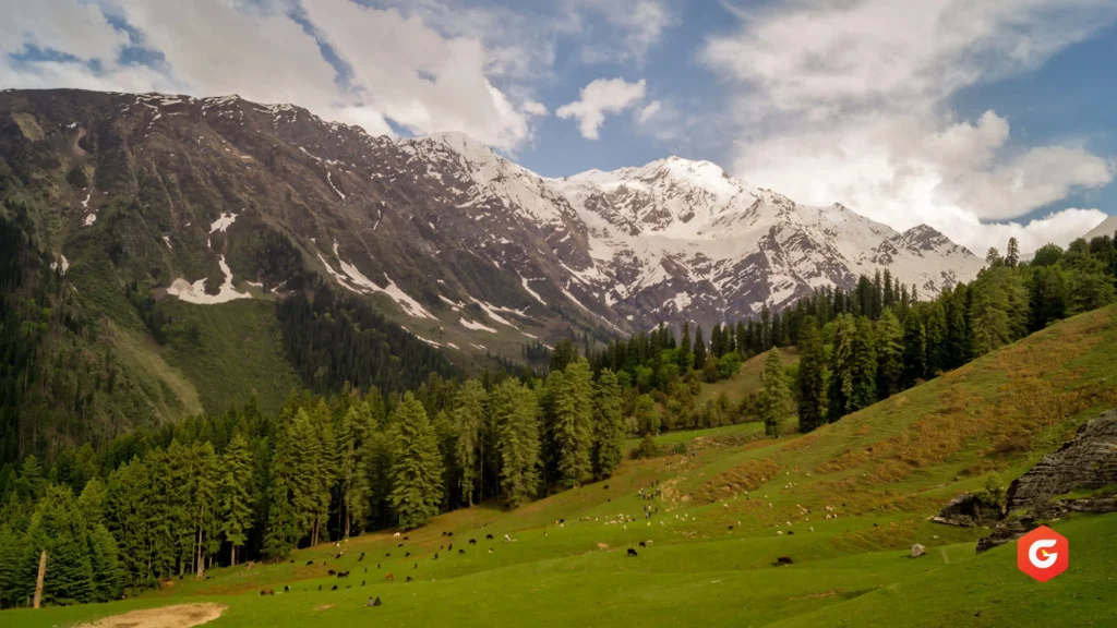 Top Places to Visit in Tirthan Valley