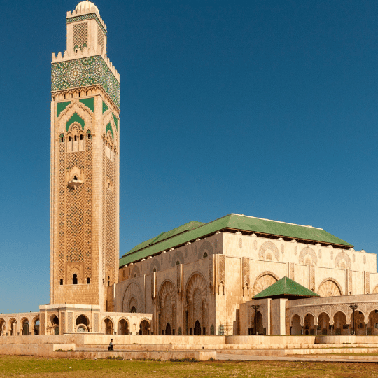 Untitled design_20260224_154337_0000