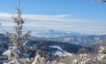 Himachal Travel Delight