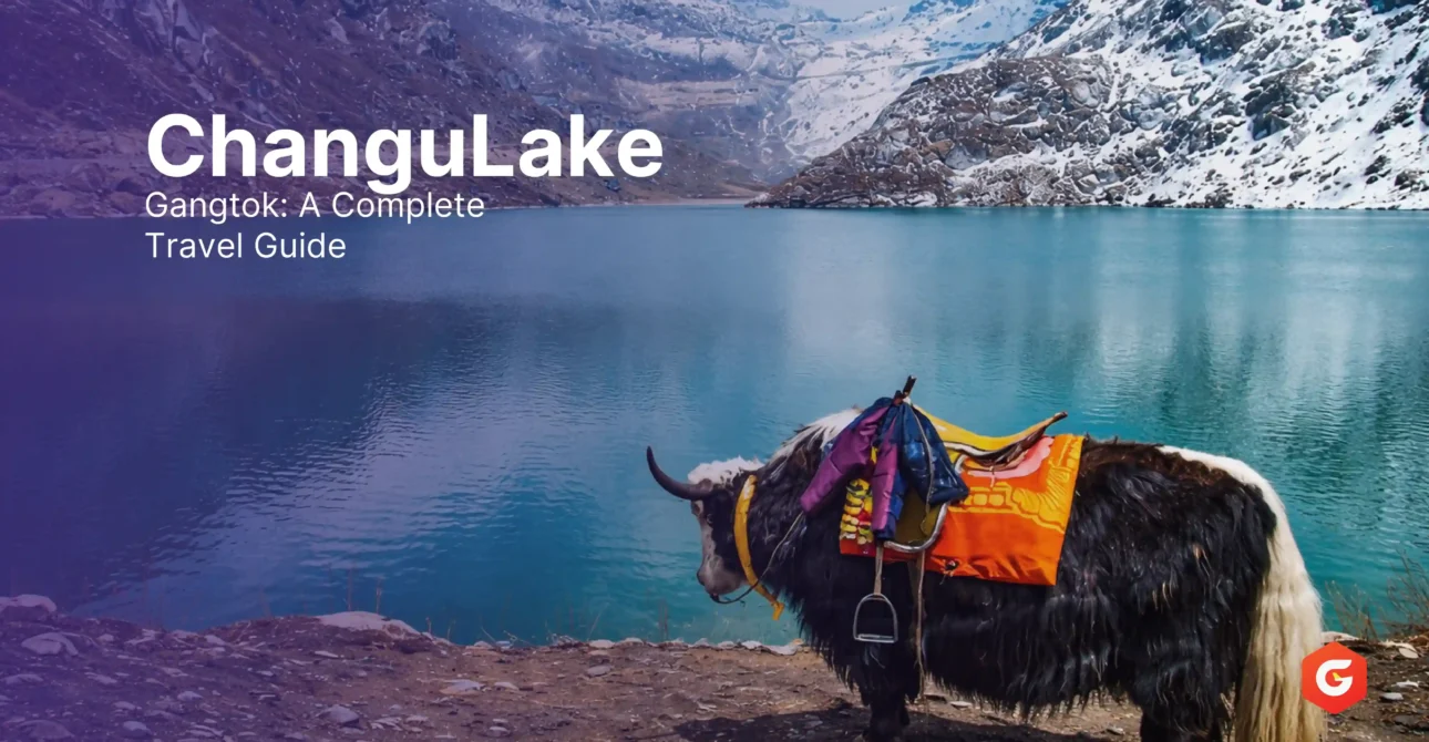 Changu Lake Gangtok: A Complete Travel Guide for Nature Lovers