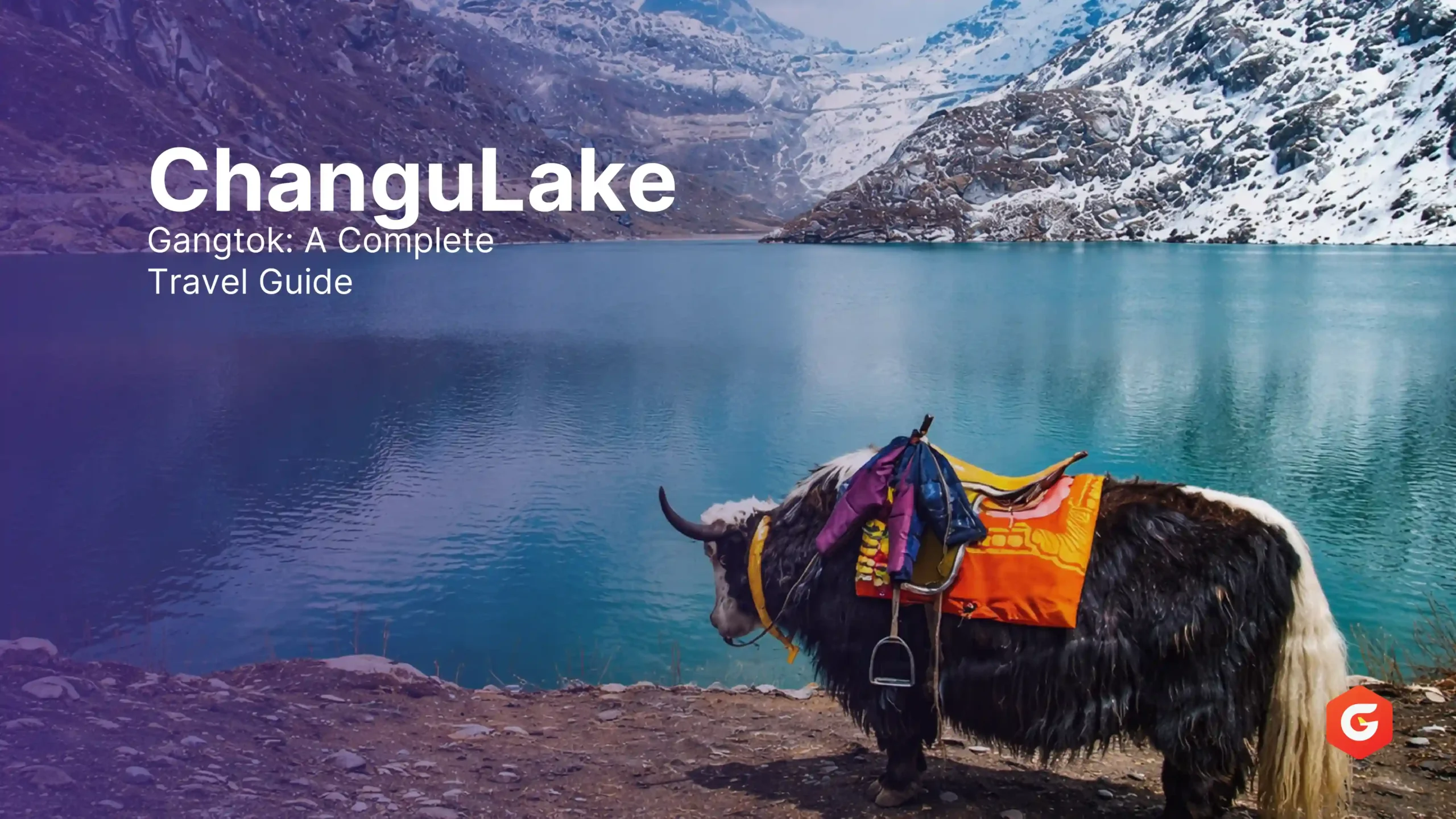 Changu Lake Gangtok A Complete Travel Guid
