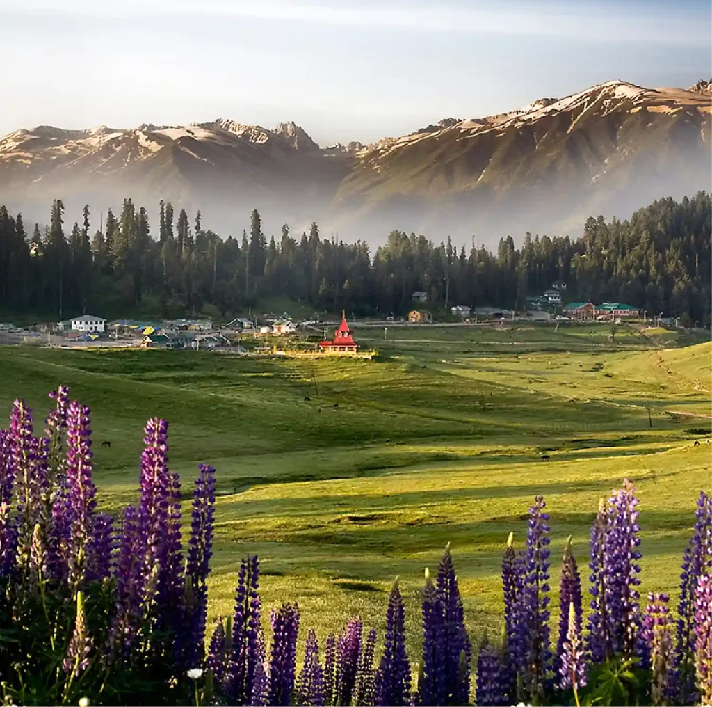 Kashmir Gurez Valley Tour Package