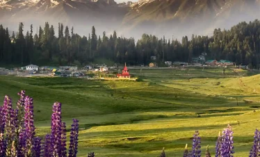 Kashmir Gurez Valley Tour Package