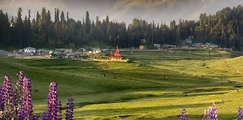 Kashmir Gurez Valley Tour Package