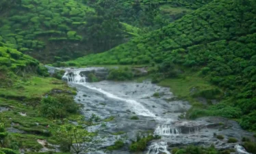 A scenic view of a gentle rocky waterfall cascading through rolling hills covered in vibrant green tea plantations. The tea bushes create a textured, carpet-like pattern across the landscape under a misty, overcast sky. The water flows over dark grey stones, surrounded by patches of bright green moss and grass, epitomizing the tropical highland charm of Kerala.