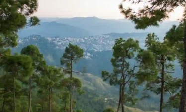 Scenic view of pine forest hills near Kainchi Dham in Uttarakhand with distant mountain town and lush green valleys