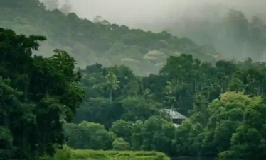 A serene, misty landscape featuring a calm river reflecting a dense, dark green tropical forest. The background is dominated by steep, forest-covered hills partially obscured by thick fog and low-hanging clouds. A small, secluded structure with a sloped roof is visible among the trees, adding a sense of remote tranquility to the lush, wild scenery of Kerala's Western Ghats.