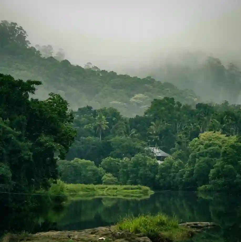 A serene, misty landscape featuring a calm river reflecting a dense, dark green tropical forest. The background is dominated by steep, forest-covered hills partially obscured by thick fog and low-hanging clouds. A small, secluded structure with a sloped roof is visible among the trees, adding a sense of remote tranquility to the lush, wild scenery of Kerala's Western Ghats.