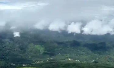 A scenic overlook of the misty green mountains and valleys of Coorg, featuring a grassy foreground and white clouds floating over a thick forest.