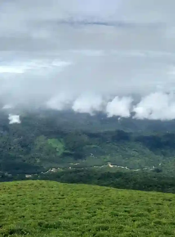 A scenic overlook of the misty green mountains and valleys of Coorg, featuring a grassy foreground and white clouds floating over a thick forest.