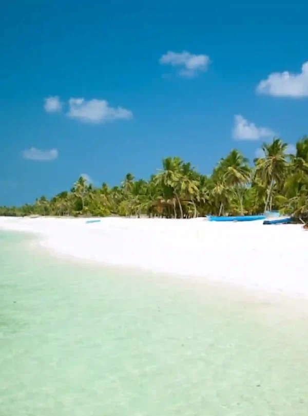 Agatti Island, Lakshadweep – pristine white sandy beach with crystal-clear turquoise lagoon, swaying palm trees, and a serene tropical shoreline under a bright blue sky, perfect for a relaxing island getaway.