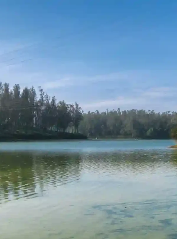 bangalore mysore ooty kodaikanal tour package
