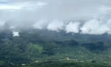 High-angle view of the Western Ghats in Coorg. Vibrant green rolling hills lead down into a deep valley where a thin white road winds through the forest, all under a heavy layer of mist and clouds.