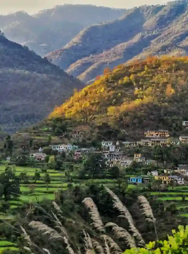 Picturesque village landscape near Jageshwar Dham in Uttarakhand with terraced green fields, hillside homes, and sunlit mountain slopes.