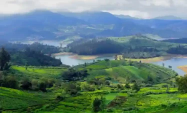 High-angle view of the Nilgiri hills in Ooty. The foreground is covered in stepped green tea gardens that lead down to a calm blue lake. Layered mountains and soft white clouds fill the background.