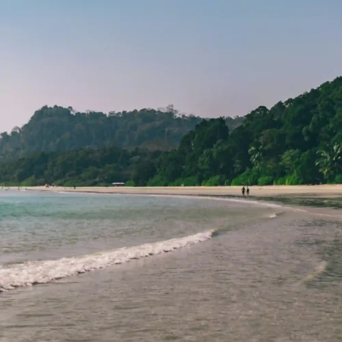 A scenic view of a wide, sandy beach in the Andaman Islands with gentle ocean waves rolling ashore, bordered by a dense, green tropical forest on a clear day.