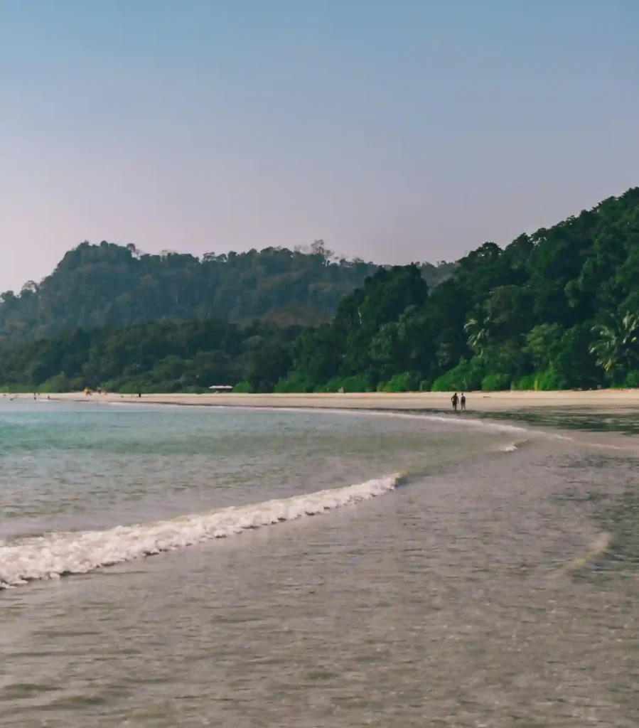 A scenic view of a wide, sandy beach in the Andaman Islands with gentle ocean waves rolling ashore, bordered by a dense, green tropical forest on a clear day.