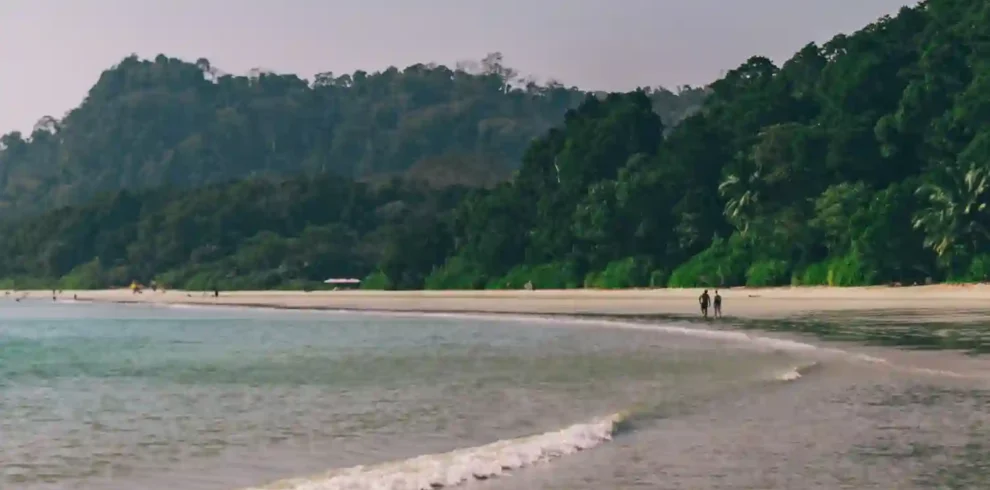A scenic view of a wide, sandy beach in the Andaman Islands with gentle ocean waves rolling ashore, bordered by a dense, green tropical forest on a clear day.