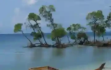 A scenic view of an Andaman beach featuring a rustic wooden boat on the white sand, with clear blue water and distinctive mangrove trees standing in the sea against a partly cloudy sky.