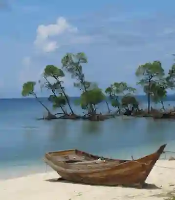 A scenic view of an Andaman beach featuring a rustic wooden boat on the white sand, with clear blue water and distinctive mangrove trees standing in the sea against a partly cloudy sky.