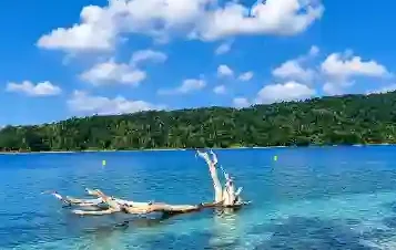 Clear turquoise waters of North Bay Island beach in Andaman, featuring a piece of driftwood in the sea with lush green hills and a bright blue sky in the background.