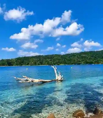 Clear turquoise waters of North Bay Island beach in Andaman, featuring a piece of driftwood in the sea with lush green hills and a bright blue sky in the background.