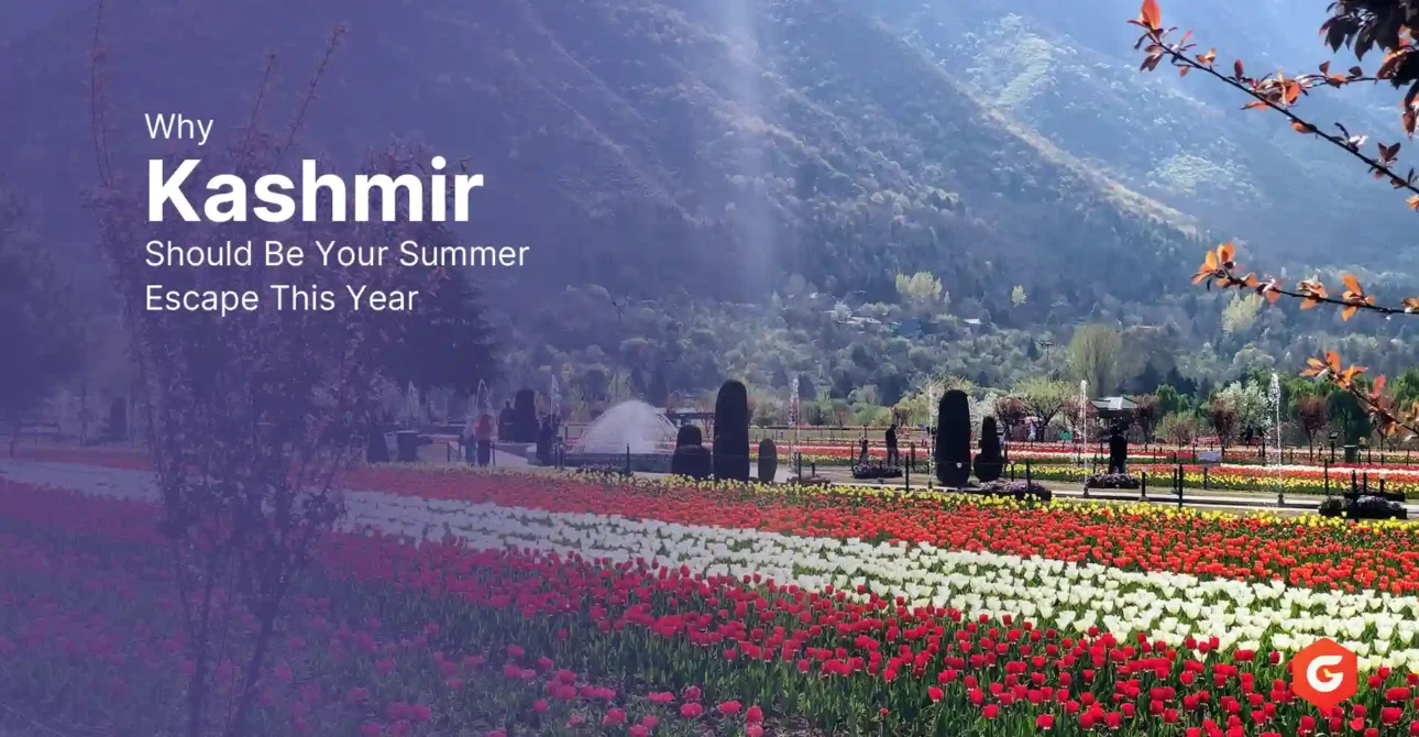 Why Kashmir Should Be Your Summer Escape This Year